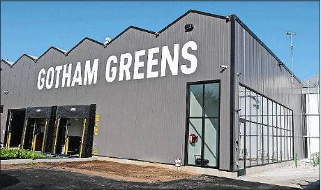 Gotham Greens Pestos - Stock Culinary Goods